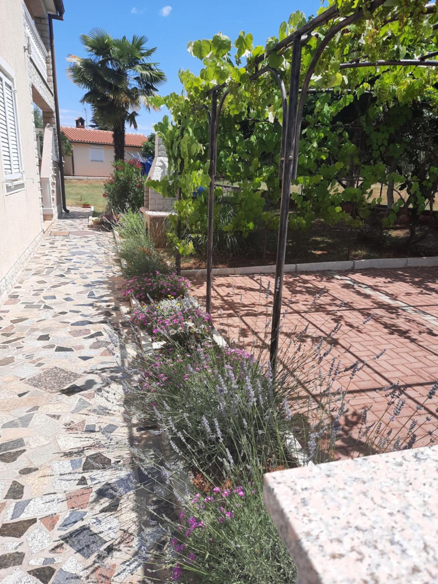 Apartments Marinela Poreč Habitación foto